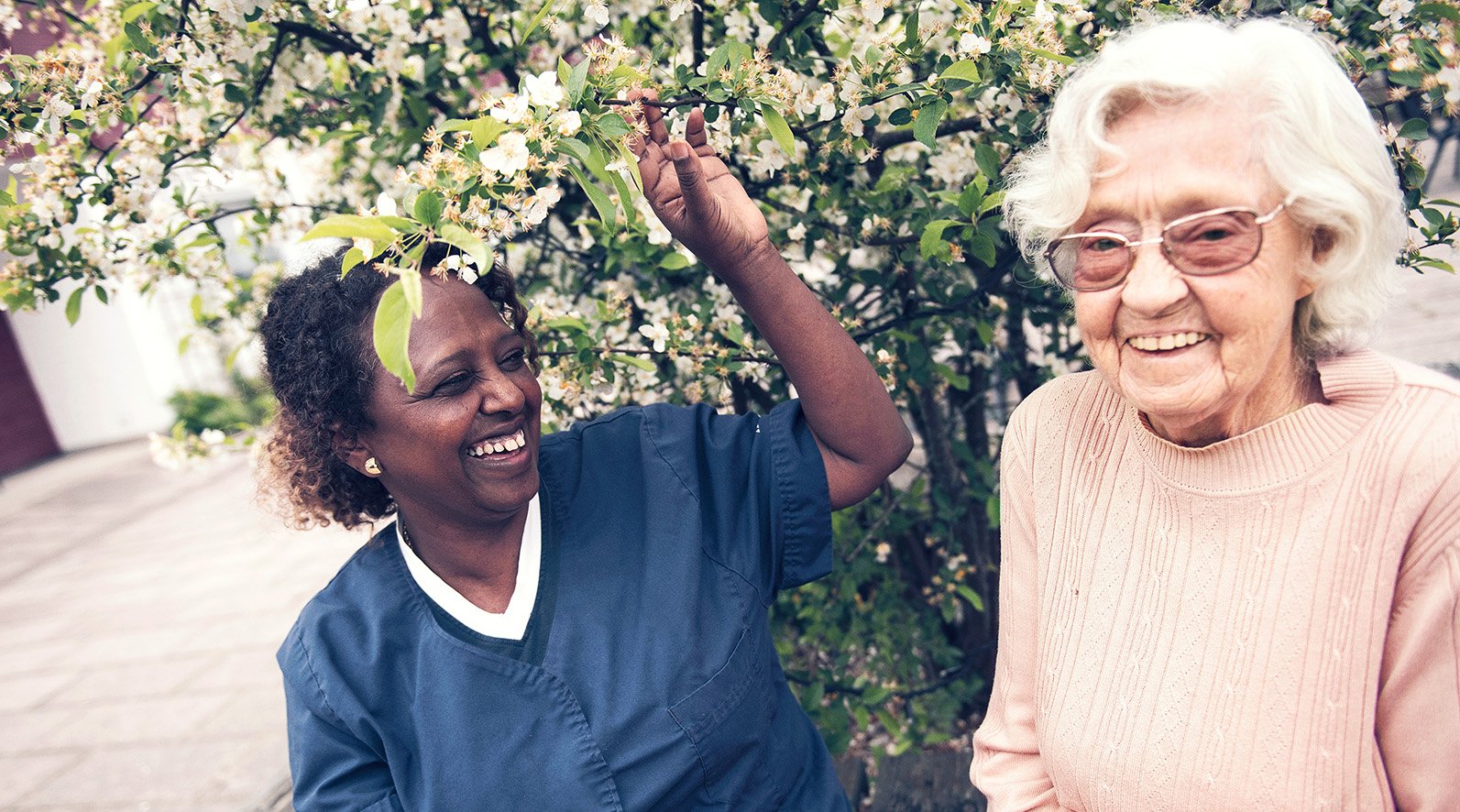 Hoitaja avustaa vanhusta puutarhassa kukkivan puun äärellä